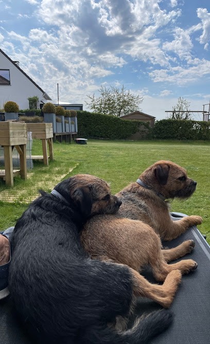 Charmeaux Sandrine, Animalerie à Courtenay
