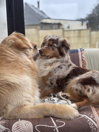 Wouf Passion, Pension Pour Animaux à Criquetot-l'Esneval