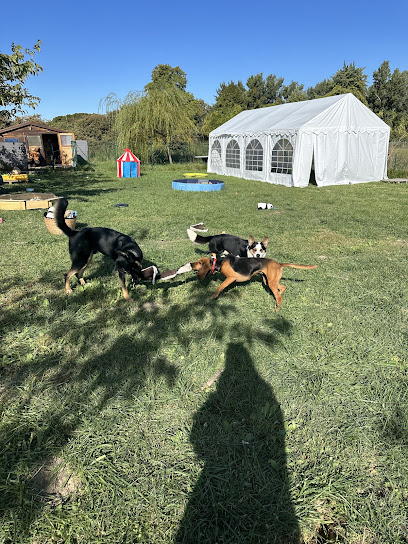 Happydogs Gardien D'animaux à Simiane-Collongue