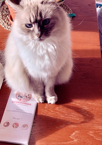 Nounounimo, Gardien d'Animaux / Petsitter à Larmor-Plage