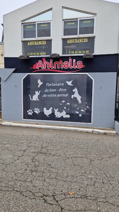 Animalia Family - Animalerie, Animalerie à Grenade