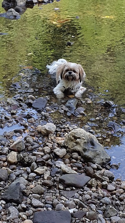 Cat et Jo, Gardien d'Animaux / Petsitter à Lavaur