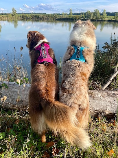 Truffes et Croc', Animalerie à Fronton