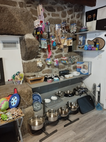 Le Domaine De Kerdusval Animalerie Et Pension Pour Chiens Et Chats, Animalerie à Plourin