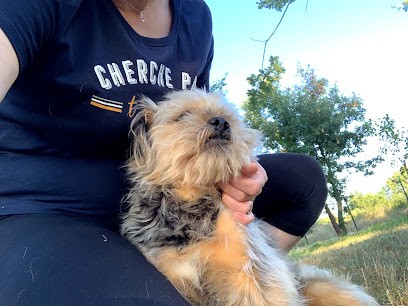 Sylvie et les Animaux - garde animaux à votre domicile, Gardien d'Animaux / Petsitter à Bragayrac