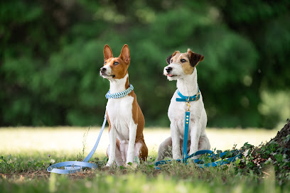 Autour Des Chiens, Animalerie à Létra