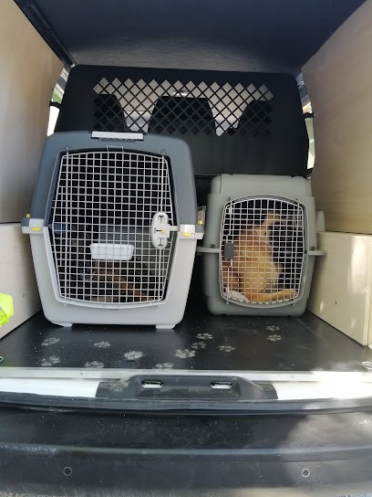 Les 4 pattes mobiles, Pension pour Animaux à Châteauneuf-les-Martigues