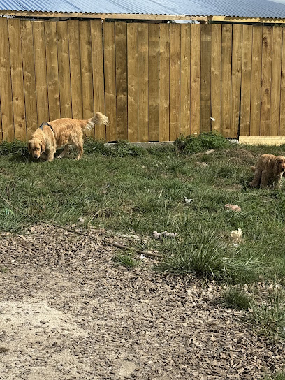 Pension De La Carrière, Gardien D'animaux à Laigné-en-Belin