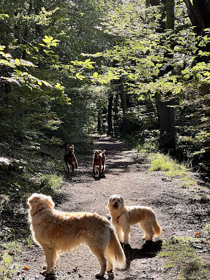 Una&Co Pet Services, Gardien D'animaux à Bièvres