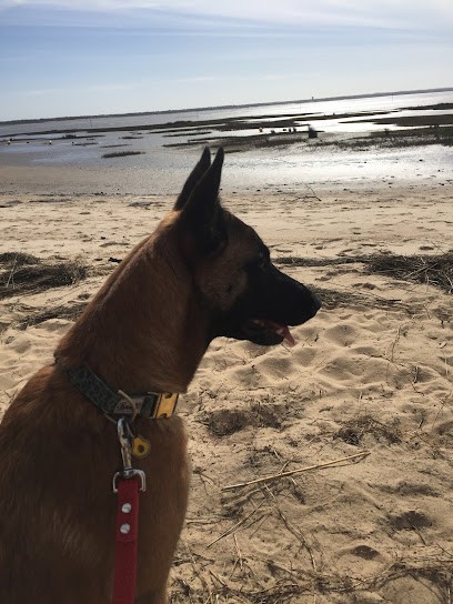 happydog's, Pension pour Animaux à Lanton