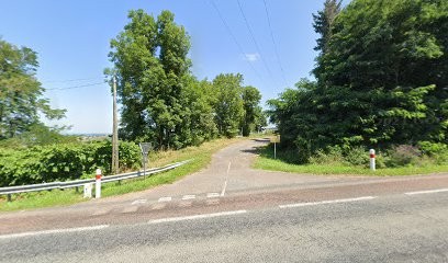 Aux P'tits Soins, Gardien d'Animaux / Petsitter à Vendranges