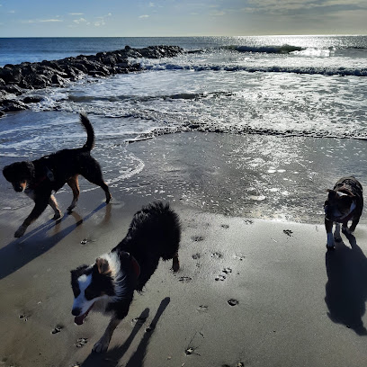 Pension Canine Et Crèche Canine Dog-Vacances, Pension Pour Animaux à Villeveyrac