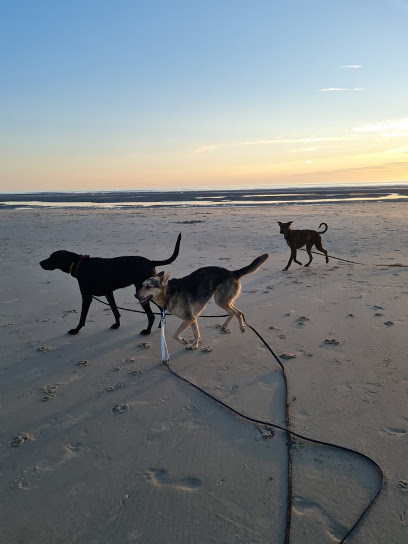 Pets Lande, Pension Pour Animaux au Teich