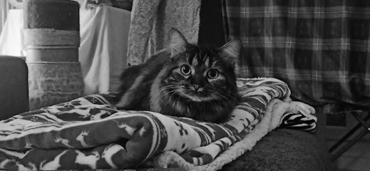 La papatte douce, Gardien d'Animaux / Petsitter à Baron