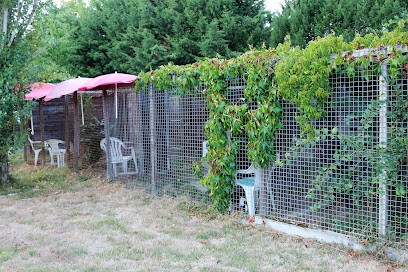 Pension Canine Féline équine Du Domaine De Buchepot, Pension pour Animaux à Saint-Léopardin-d'Augy