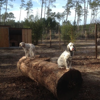 La Colo de Capon, Pension pour Animaux à Azur