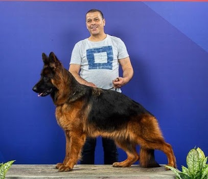 Chenil de la route du Champagne - Elevage de la Taverniere, Pension pour Animaux à Ormes