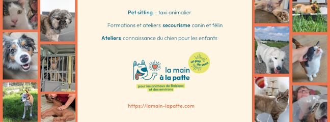 La Main À La Patte, Pension Pour Animaux à Baisieux