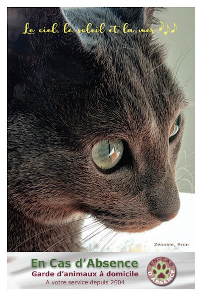 En-Cas d'Absence - cat sitters à Lyon, Gardien d'Animaux / Petsitter à Lyon 03