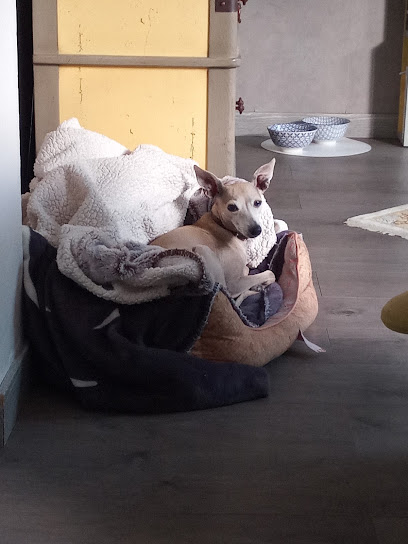 Nanny Po'pet Gardien D'animaux à Dunkerque