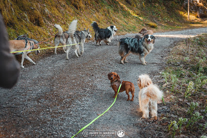Jimmy Pet-Sitter | Service Professionnel De Garde Pour Animaux De Compagnie, Gardien D'animaux à Mercury