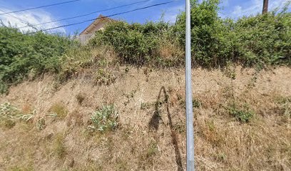 La compagnie de Nanie, Gardien d'Animaux / Petsitter à L'Horme