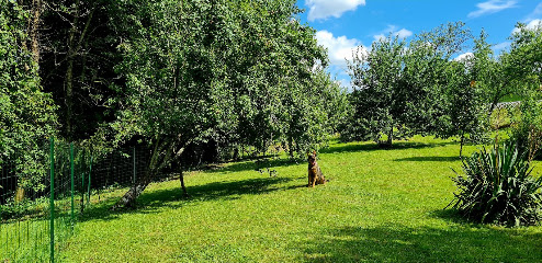 Mon Compagnon Est Un Vip, Gardien D'animaux à Wagnon