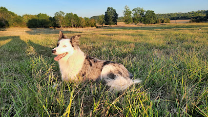 Arden'o'poil Pet-Sitting, Pension Pour Animaux à Chappes