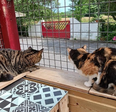 LA COLO DES 4 PATTES, Pension pour Animaux à Mouguerre