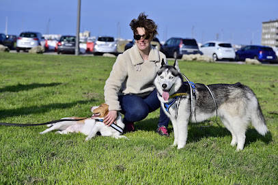 Canifélid Gardien D'animaux à Gidy