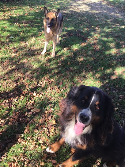 Gardiandco Gardiennage de vos Animaux De Compagnie, Pension pour Animaux à Hiersac