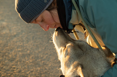 Petit Loup Rêve, Gardien D'animaux à Tarnac