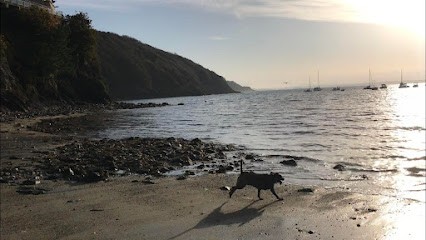 Happy Tails Services De Soins Aux Animaux De Compagnie, Gardien d'Animaux / Petsitter à Brest