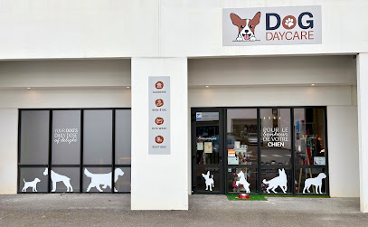 Dog Daycare Gardien D'animaux à Serris