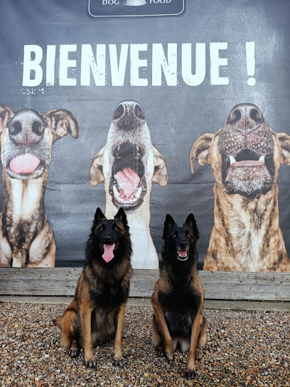 Le Comptoir De La Coquerie - Alimentation Chien & Chat, Animalerie à Villiers-le-Mahieu