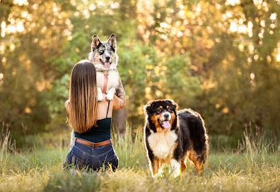 Pet Club Provence, Gardien D'animaux à Avignon