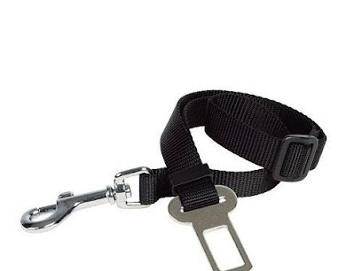 CROC29, Animalerie à Guiclan