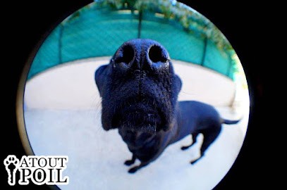 Atout poil, Gardien d'Animaux / Petsitter à Narbonne