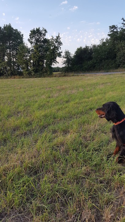 Pension familiale Les 4 Pattes S'évadent, Pension pour Animaux à Hiersac