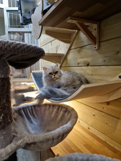 Les Chamalots - Pension pour chats, Pension pour Animaux à Saint-Étienne