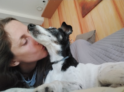 Sandie Bonheurs De La Limagne - Garde D'animaux, Pension Pour Animaux à Malintrat