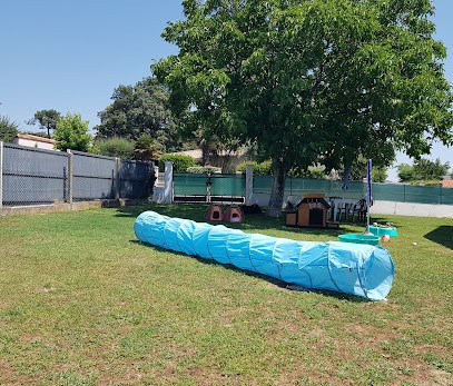 Pension familliale canine. Stéphanie Pet-Sitter., Gardien d'Animaux / Petsitter à Saint-Palais-sur-Mer