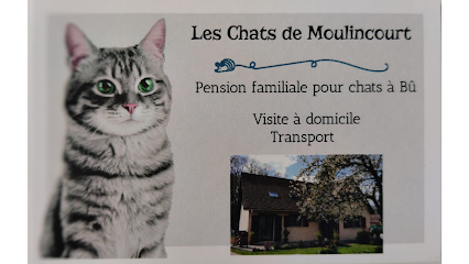 Les Chats De Moulincourt Gardien D'animaux à Bû