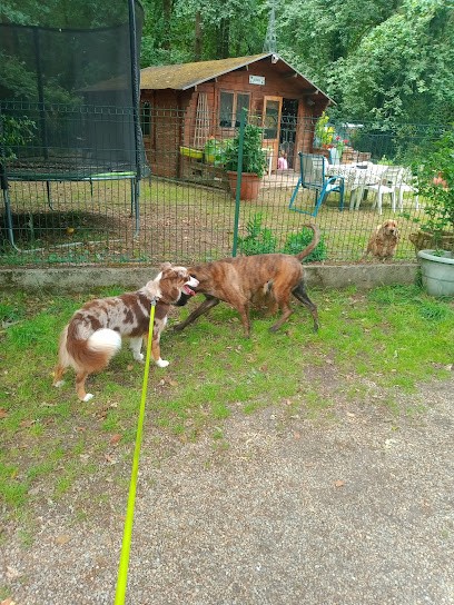 Auberge Du Chien, Pension pour Animaux au Cellier