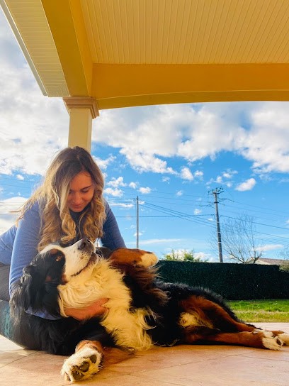 Laët'sitting, Gardien d'Animaux / Petsitter à Hérimoncourt