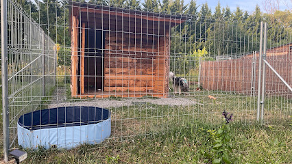 Gwenn&Cie- La Colo' Des Animaux- Pension Canine & Nac, Gardien D'animaux à Villeneuve-la-Guyard