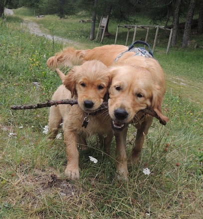 Candypaw, Animalerie à Besse-sur-Issole