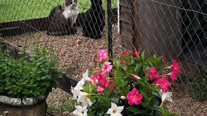 AU BOIS DORMANT, Pension pour Animaux à Saint-Cyprien