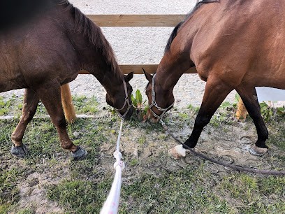 Le Taxi De Tata, Pension pour Animaux à Grenoble