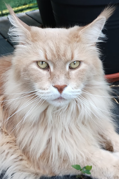 Z'animozen, Gardien D'animaux à Nangy